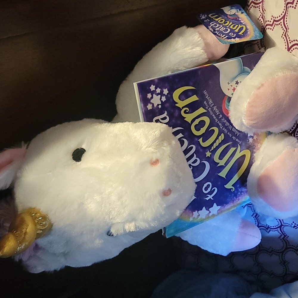How to Catch a Unicorn book/plush bundle
